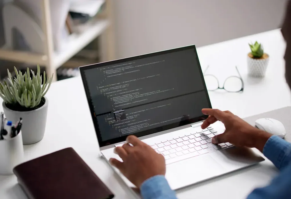 Web Development